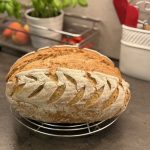 roggen mischbrot 0